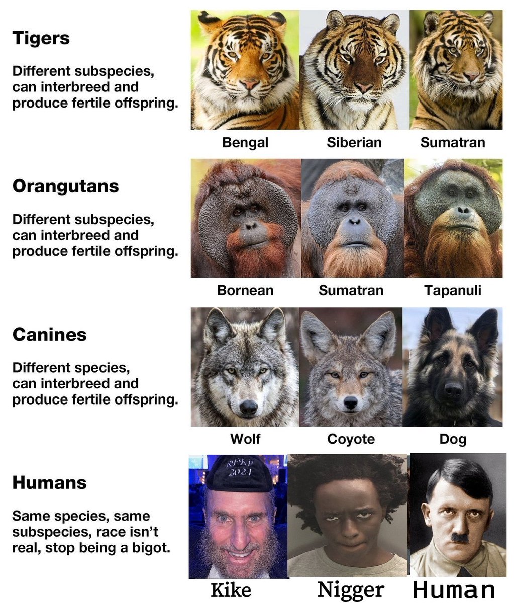 DethByte64 tweet media