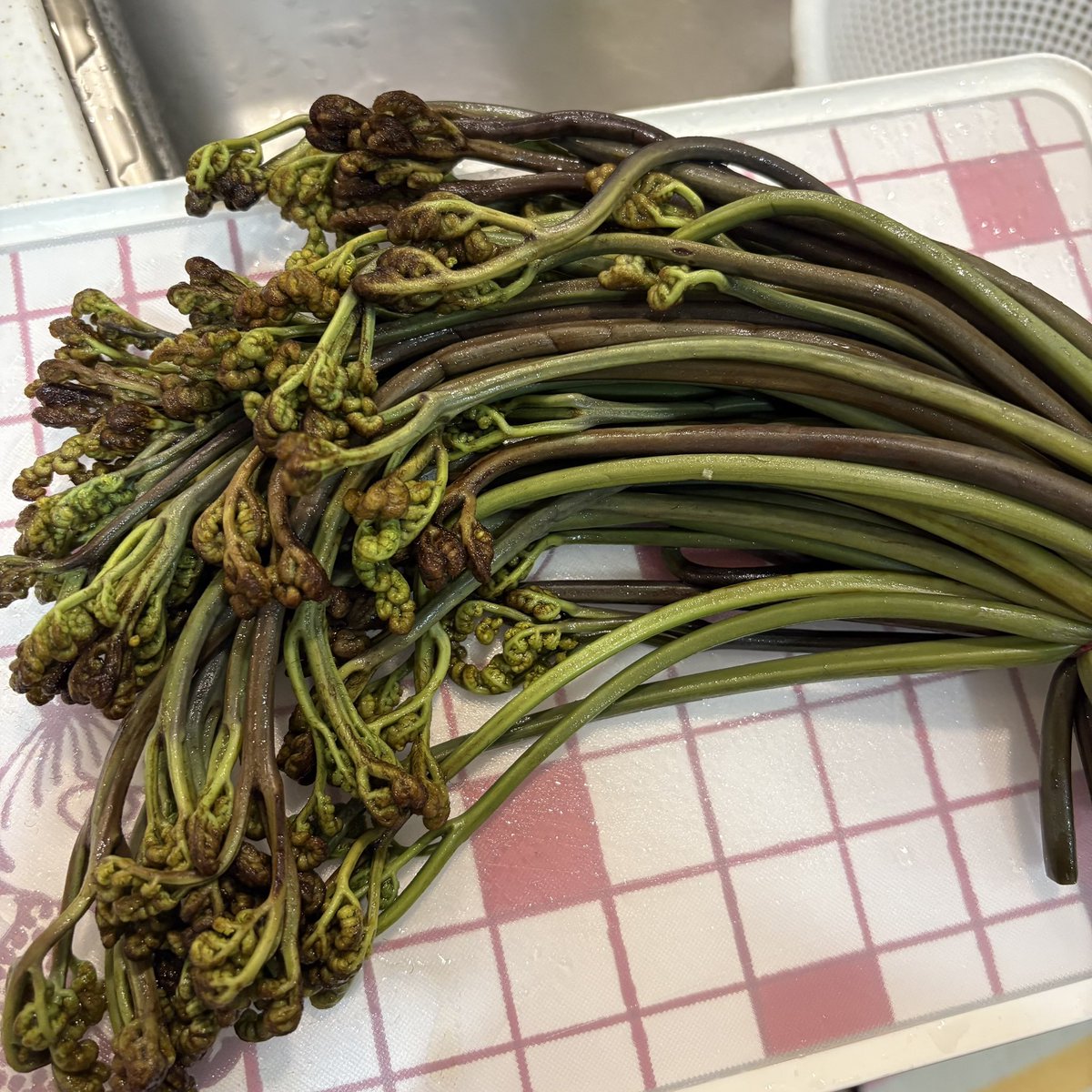 のぼりはるこ@ハルケンらぢお tweet media