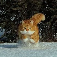 kirsche__666's tweet photo. My heart is filled with happiness by life's simple delights. https://t.co/22dumLFuWu