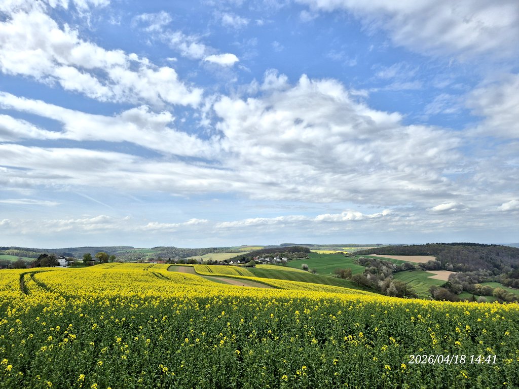 兰德里尼 tweet media