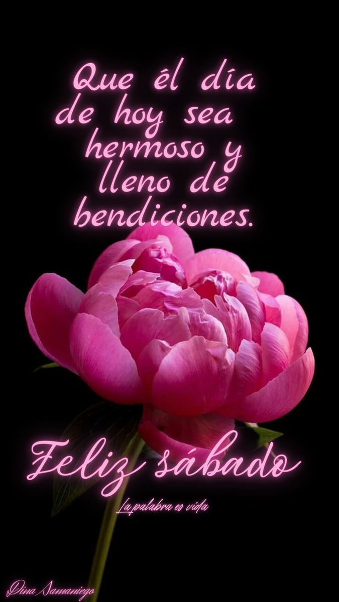 feliz sábado