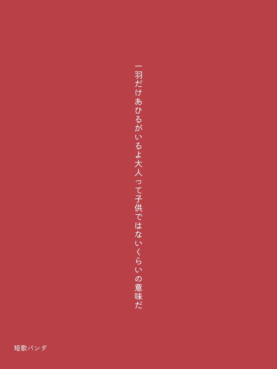 短歌パンダ tweet media