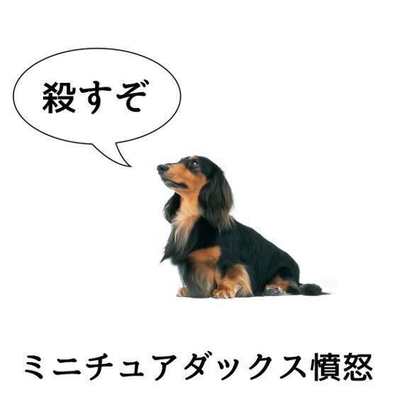 じゃっかす tweet media