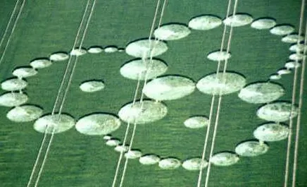 ⚡️🌞 Sol Brah 🌞🐬 tweet media