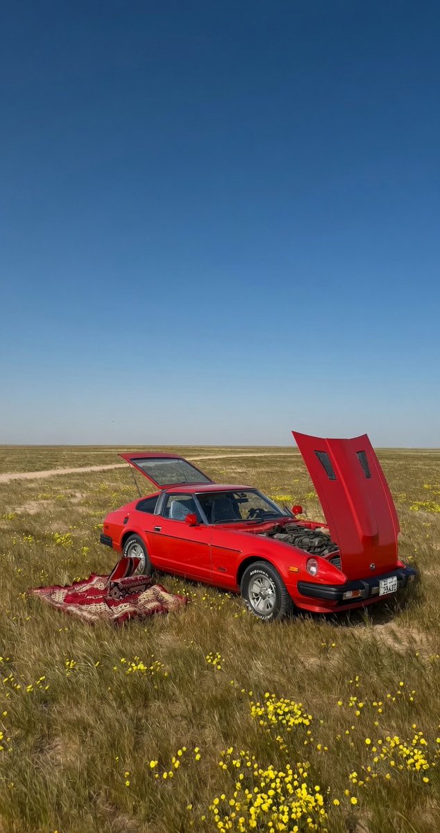 ربيع بر اللياح شمال الكويت