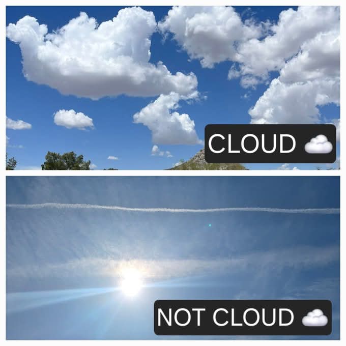 myhiddenvalue's tweet image. 