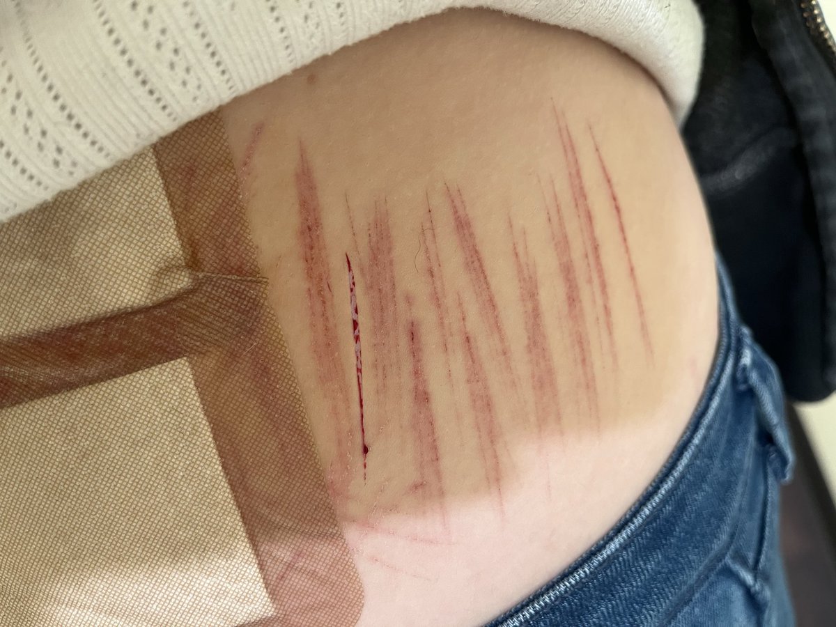 ria (kinger) of shedtwt tweet media