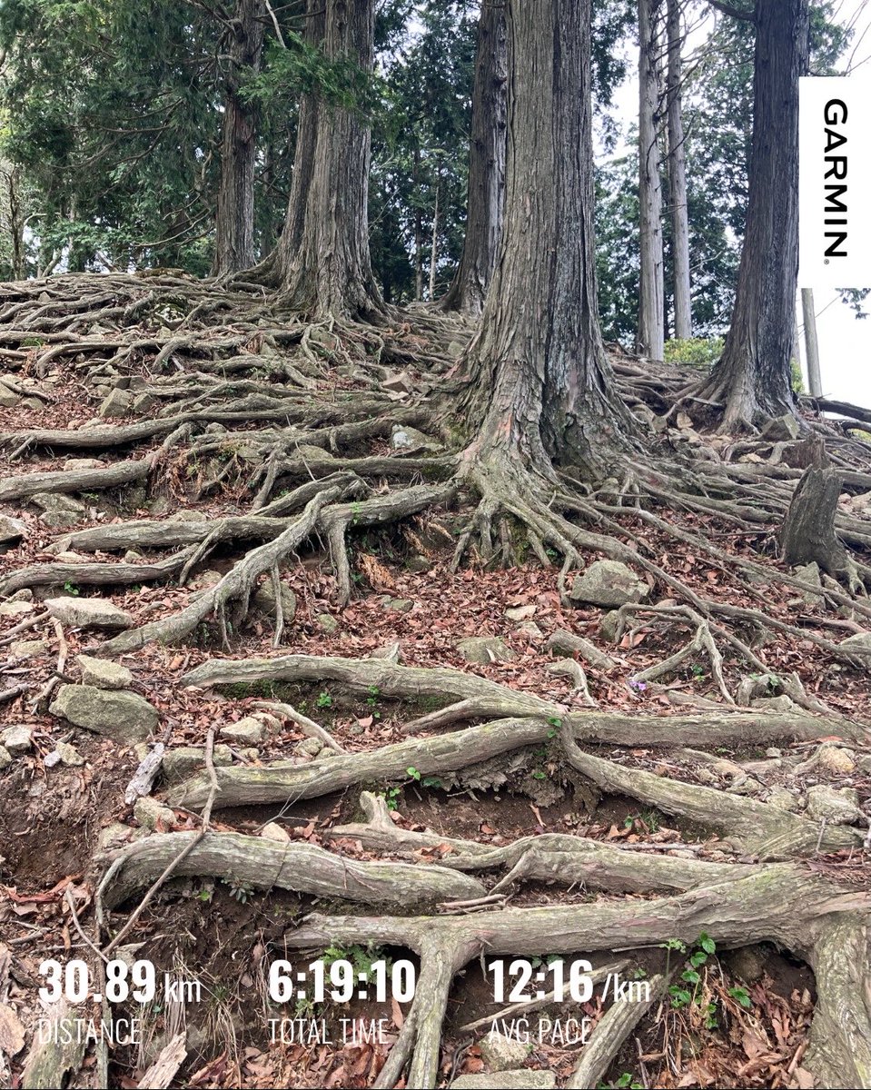Aya@乳がん5年生　5/9比叡山ITR23km tweet media
