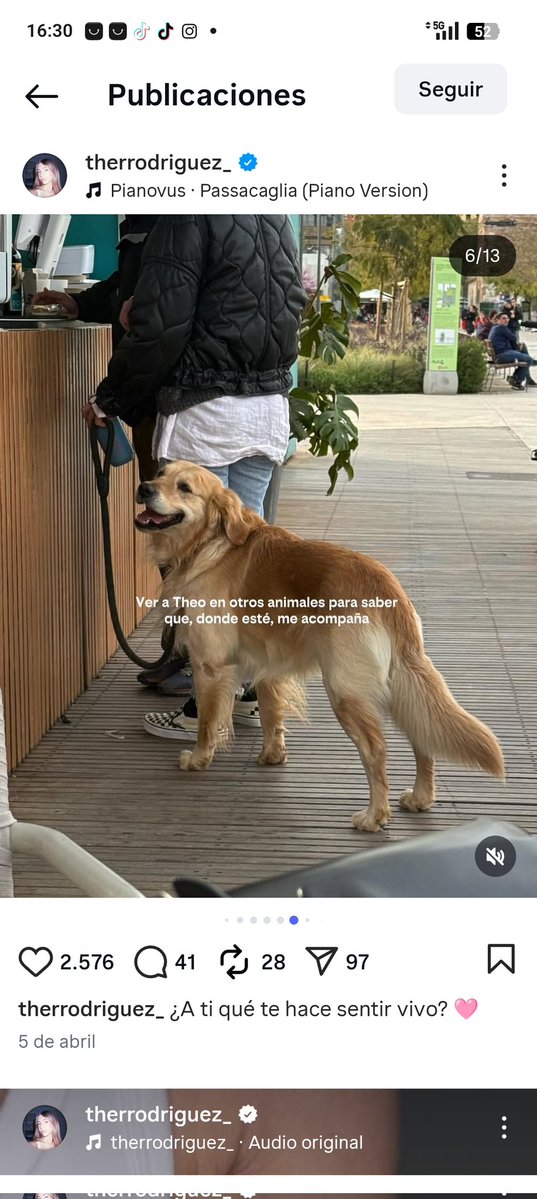 ⚔️Skyripa ⚔️ tweet media