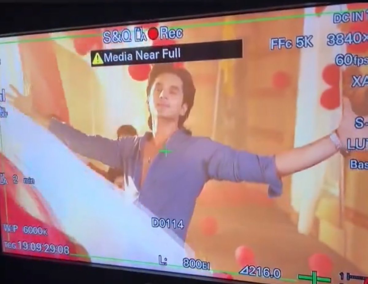 birdies in the sky tweet media