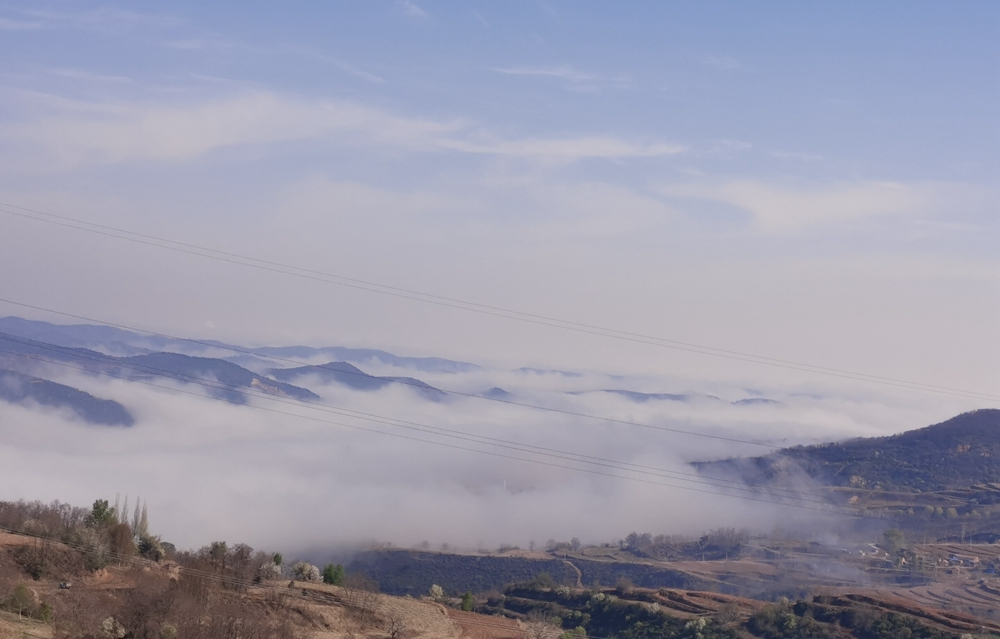 Kevinleeion tweet media