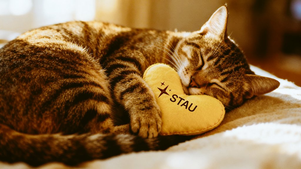 STAU Gold tweet media