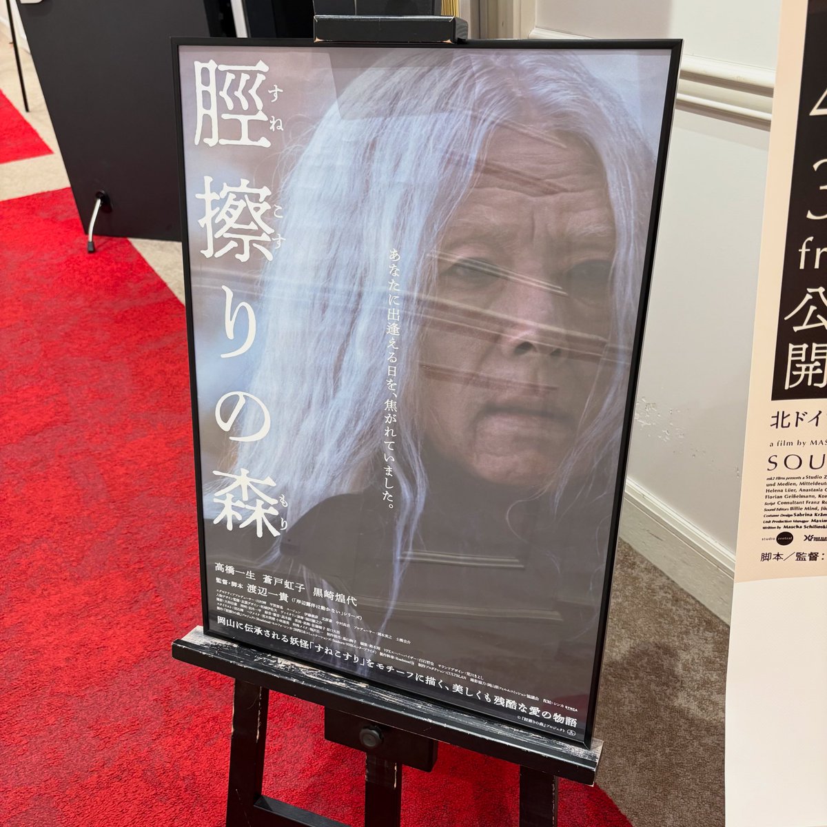 2026年劇場鑑賞40本目
脛擦りの森@キノシネマ立川
3.9/5★ 

まさか妖怪の話とは！
ほぼセリフもなく森の自然と共にゆっくりと時間が過ぎるがゆえに女性の妖怪のピュアな美しさと可愛さに引き込まれ、絶望なのに幸福なのかもしれない？品のあるホラー？

#高橋一生 
#蒼戸虹子 
#西川愛莉 
#黒崎煌代