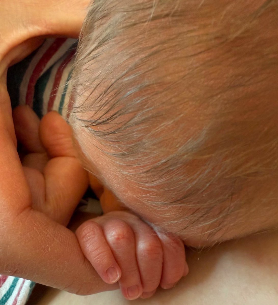 Anna Lulis tweet media