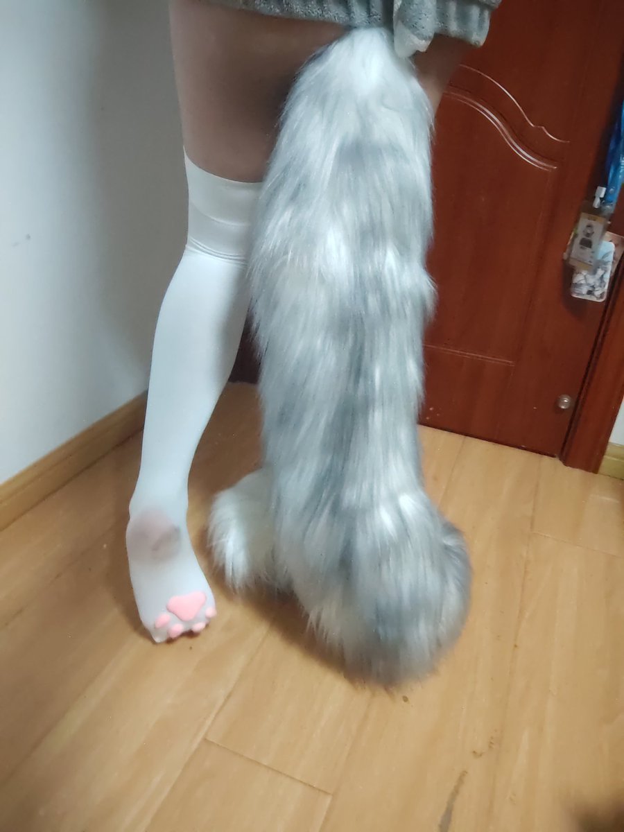 戚风狼崽爱迷路 tweet media