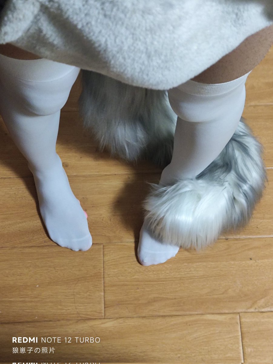 戚风狼崽爱迷路 tweet media