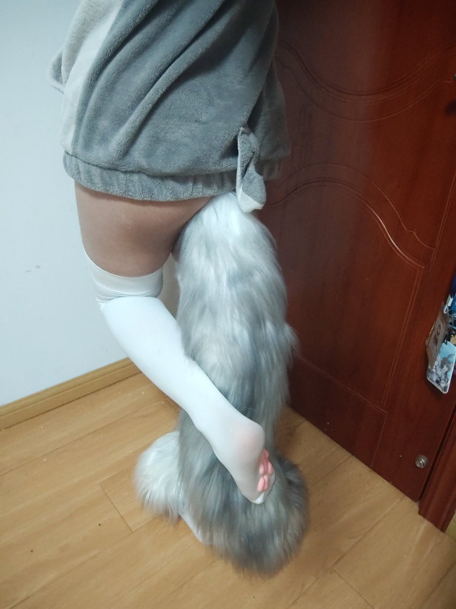 戚风狼崽爱迷路 tweet media