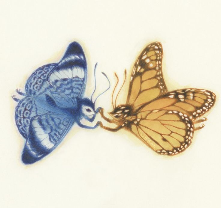 𝑺𝒆𝒓𝒆𝒏𝒍𝒚 tweet media