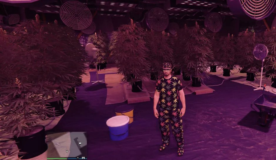 GTCherryRed73 tweet media