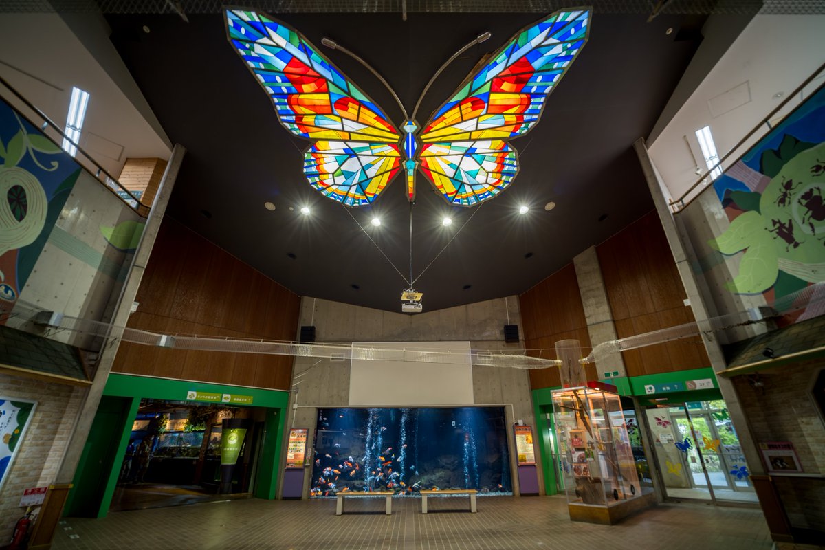 空白寺 tweet media