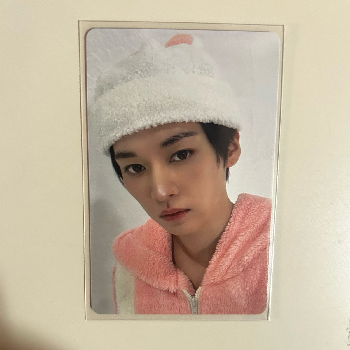 beaknow! ⚢ está de bh tweet media