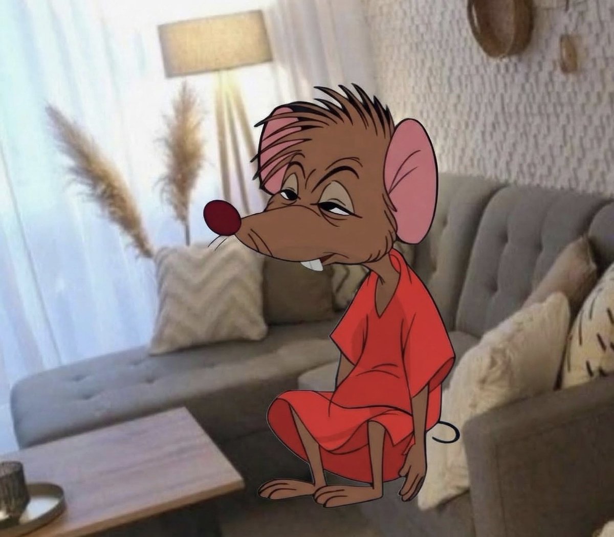 Guarromantico_'s tweet photo. Yo eligiendo mi outfit más cómodo para andar en mi casa. https://t.co/S33qIYeQoR