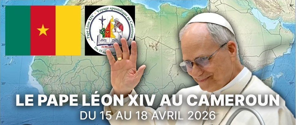 Stéphane M'BAFOU tweet media