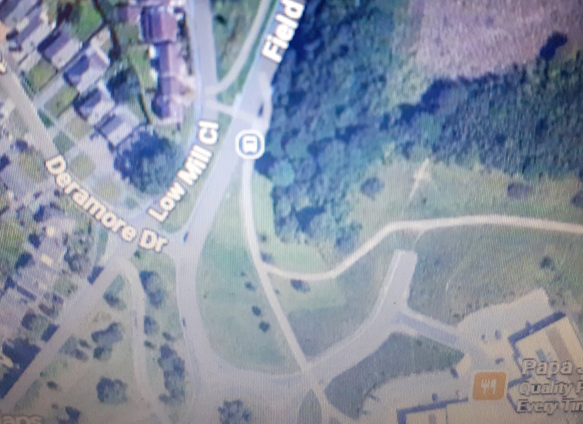 greenbeltsal's tweet image. This #RoadToNowhere is not any more.
Is now being extended to a new development #MinsterView #York
cutting down trees #DiamondWood
#KimberlowHill
Destroying #wildlifehabitat all in the name of #PersimmonHomes 😡

#ActionForNature
#CommunityPlanning
#DayOfAction
#VoteForNature