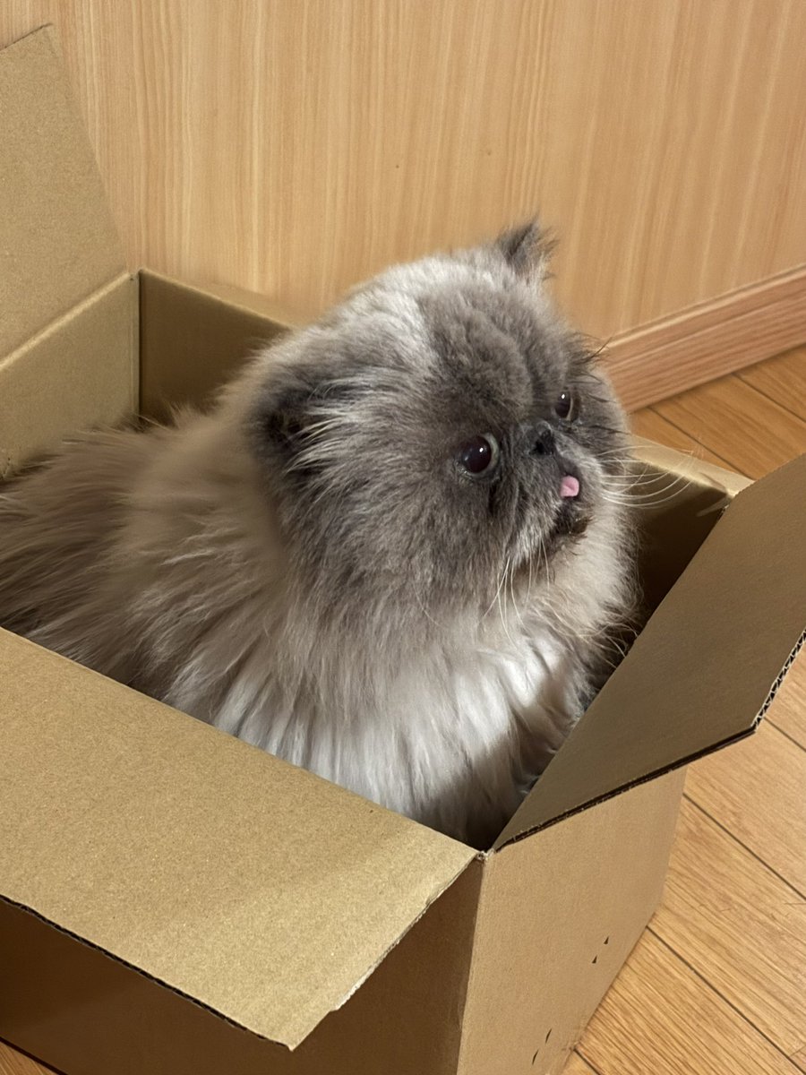 むうとゆぱ tweet media