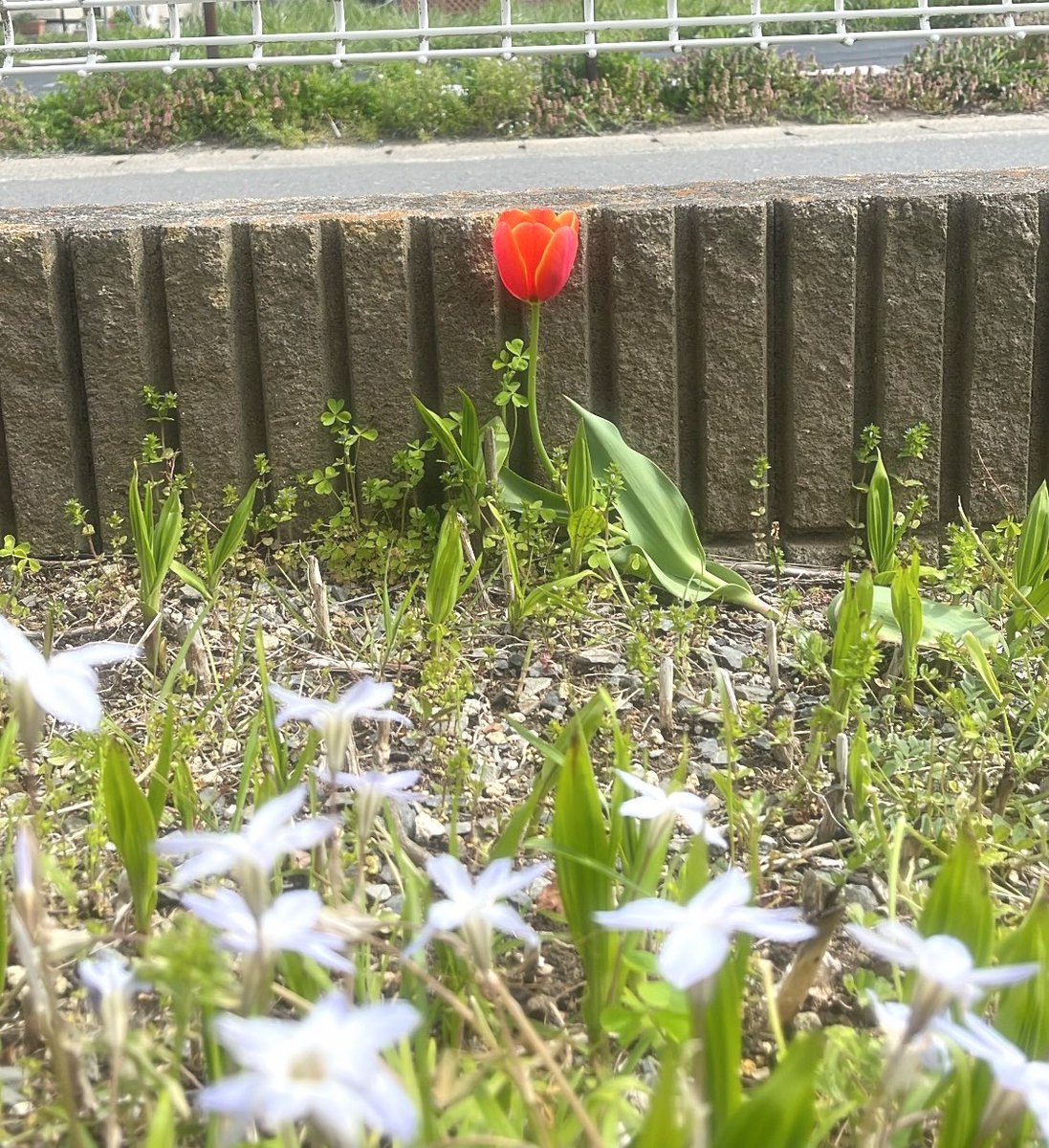 ゆなぴ tweet media