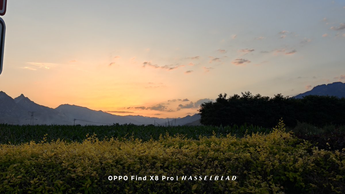 Hamdy Mahmoud tweet media