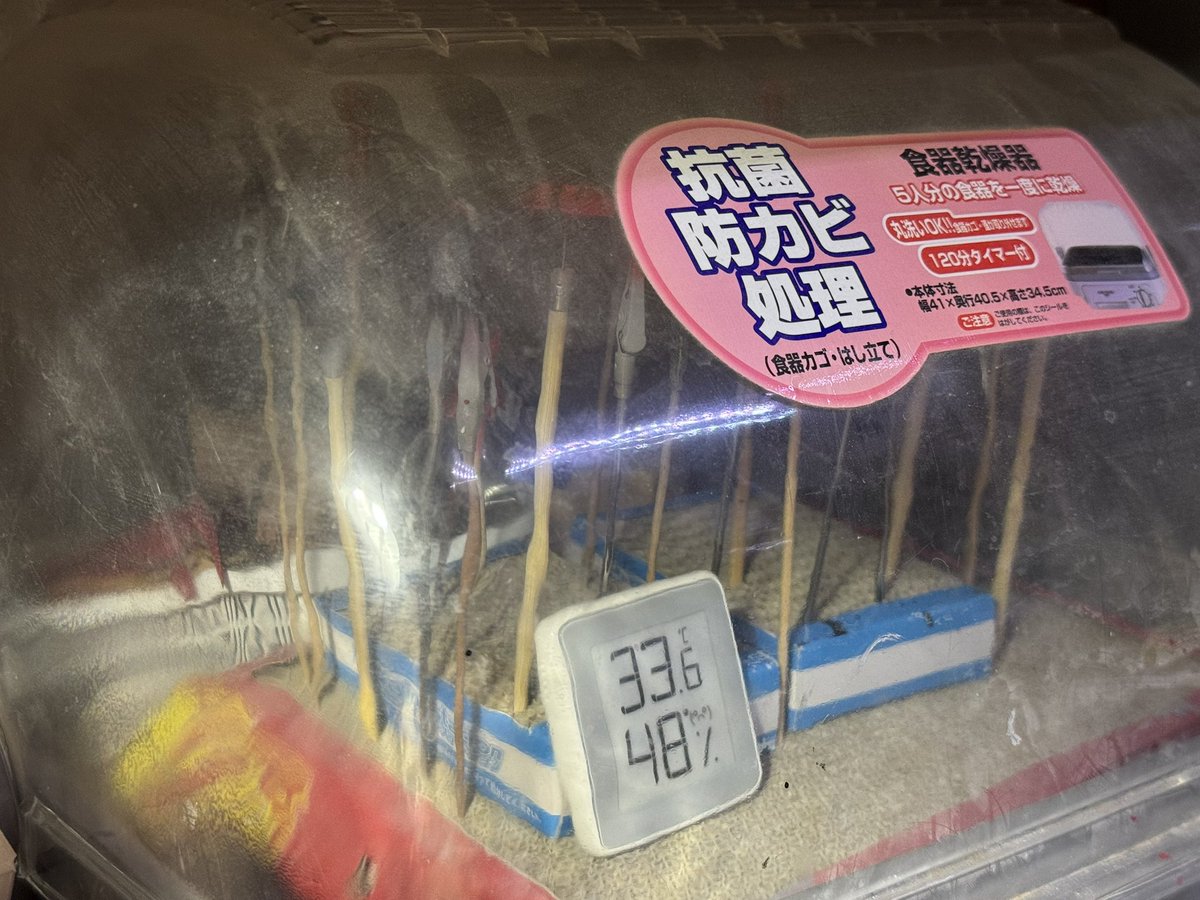 あさやん tweet media