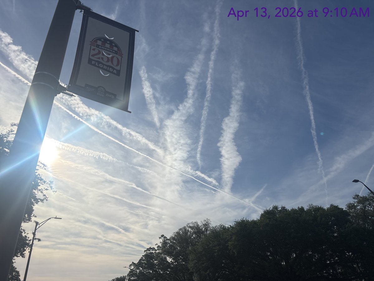 ChuckDa85013453's tweet image. Tallahassee Florida