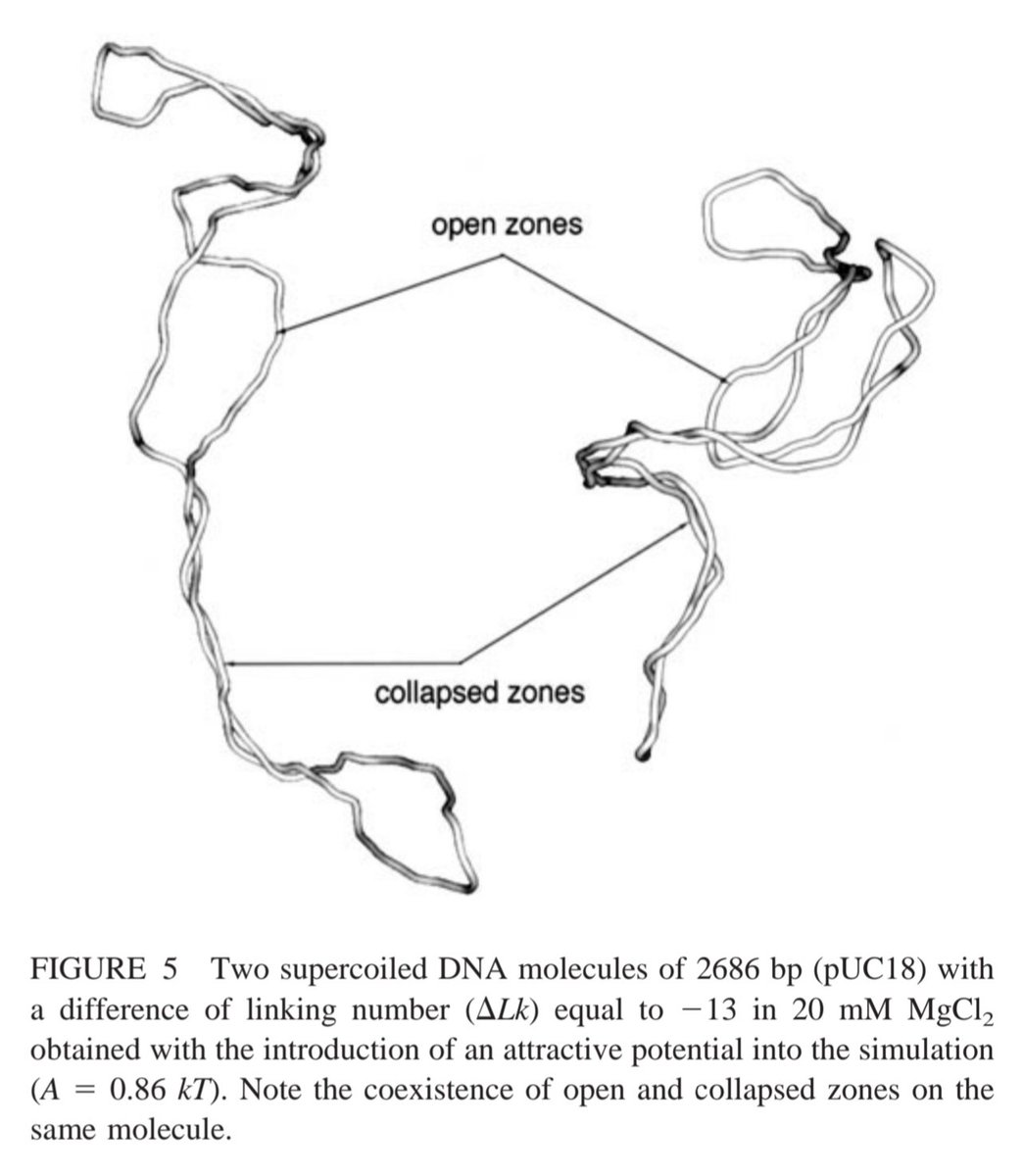 P. E. Sottas, PhD tweet media