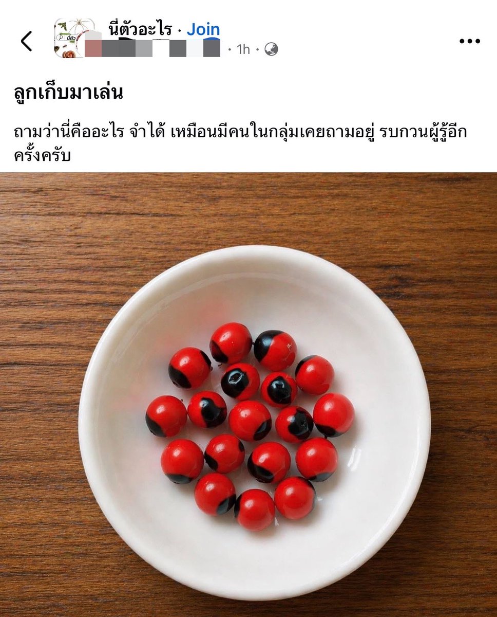 เด็กชายคำคม tweet media