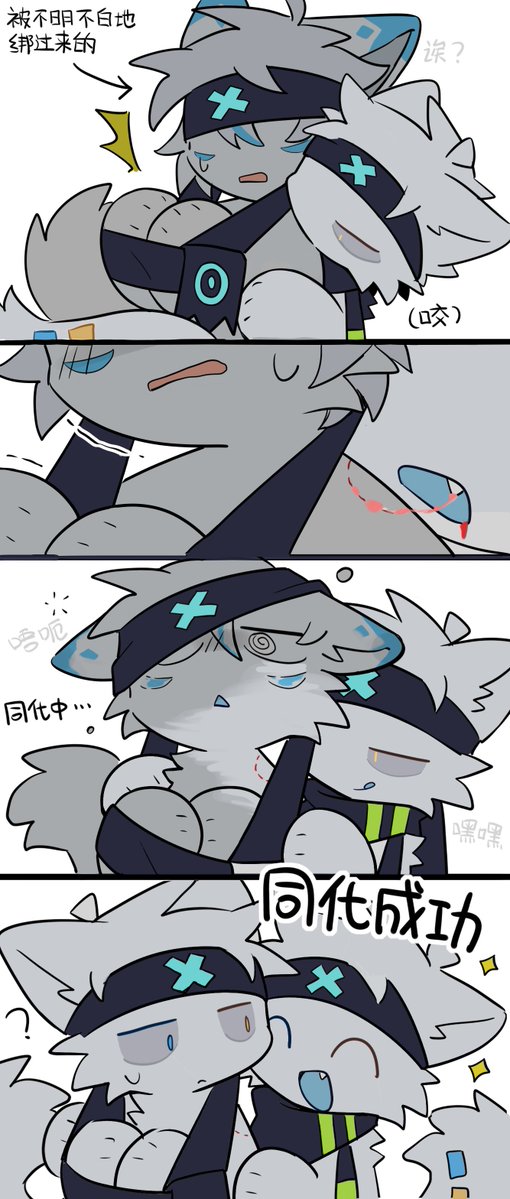 雪绒狼亦雪 tweet media