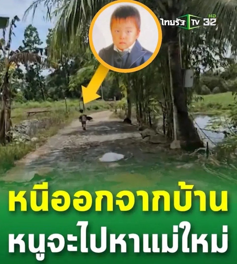 KittyPonie_♡₊˚​| +.ﾟꔛ tweet media