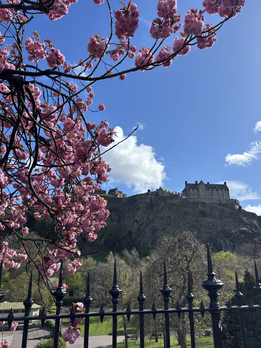 Ms Marchmont 🏳️ tweet media