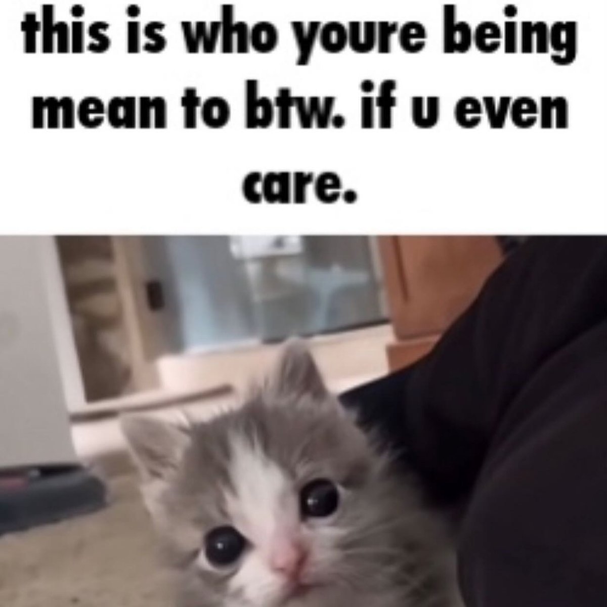 The Serene Carnation tweet media