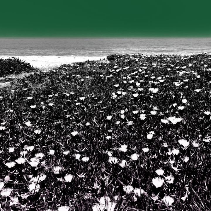 Art of the Day! "Neo Skies 2 of 5". Buy at: ArtPal.com/brianleebender…