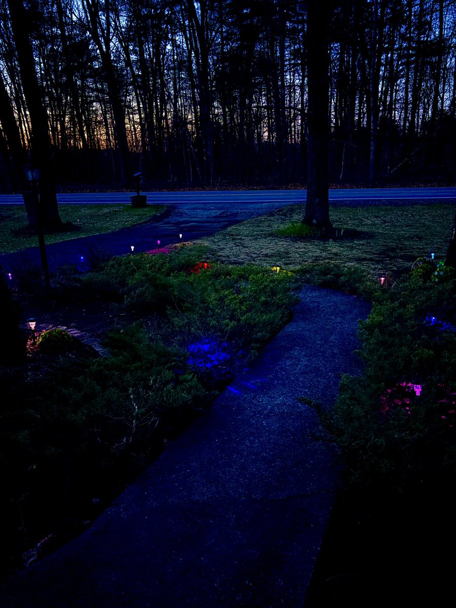 𝒞𝒽𝒶𝓃𝓉𝑒𝓁 tweet media