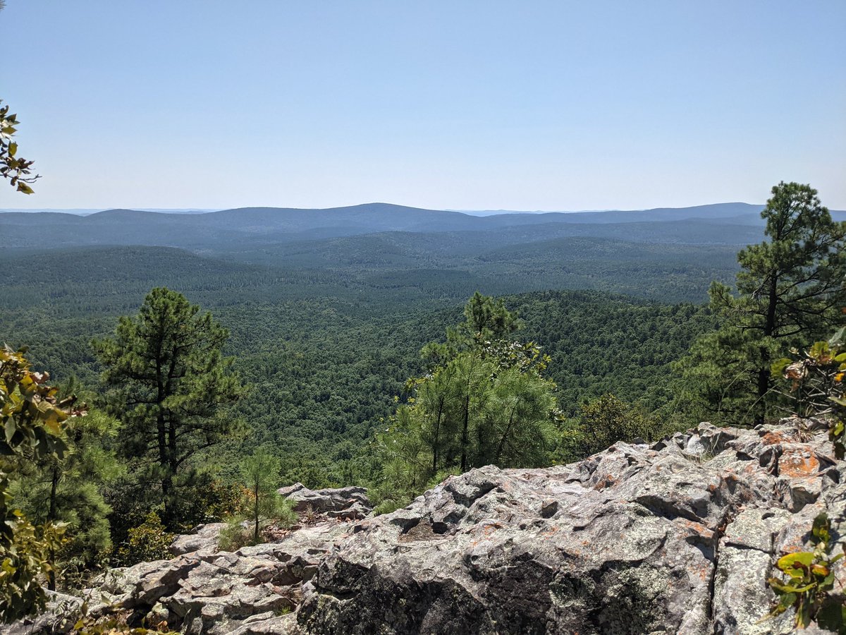 marceline tweet media