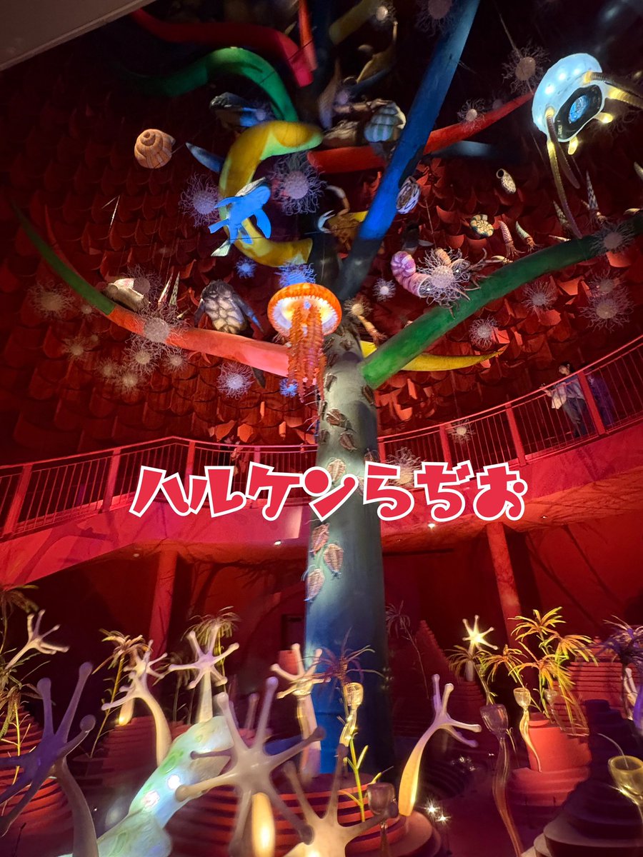 ハルケンらぢお~どんぶらこ~ tweet media