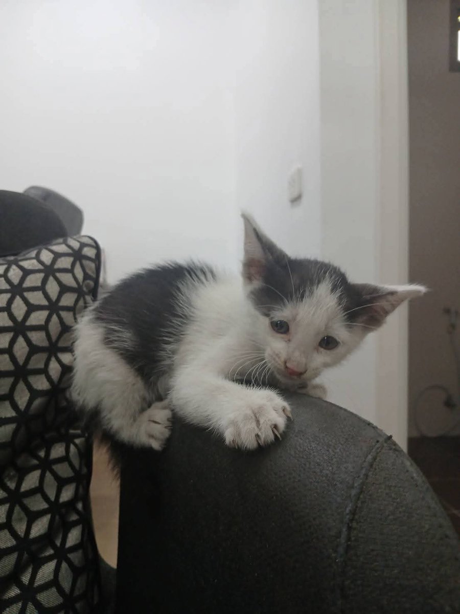 Poyhooood 📯 ภวังค์​หนัง​ tweet media