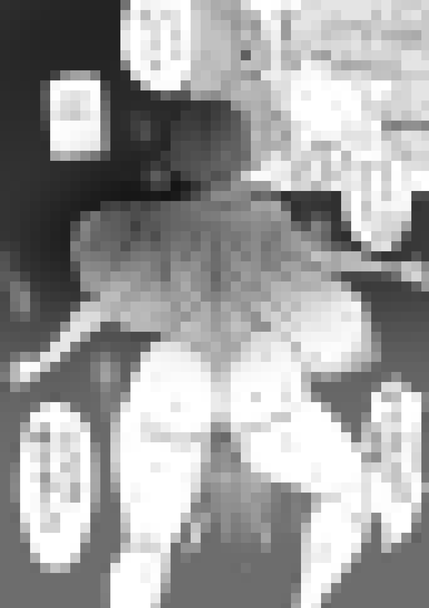 支援サイトに『ド田舎の農家にホームステイしに来た日本オタクの一日』投稿しました 