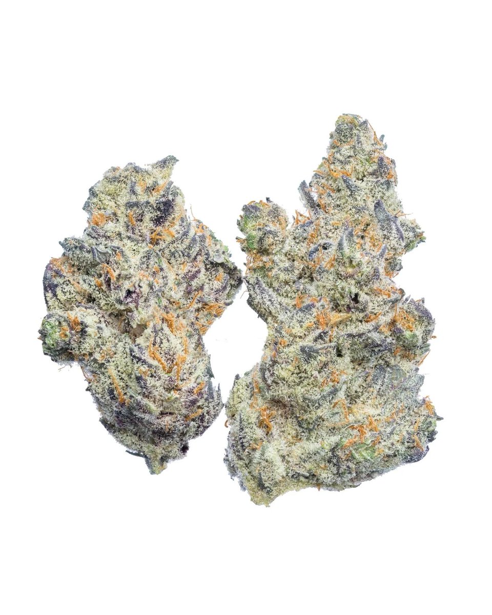 DrewIsSharing tweet media