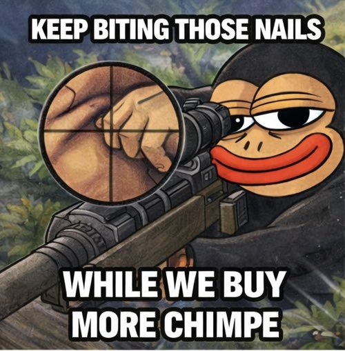 Omni Bombobee 🐝 tweet media
