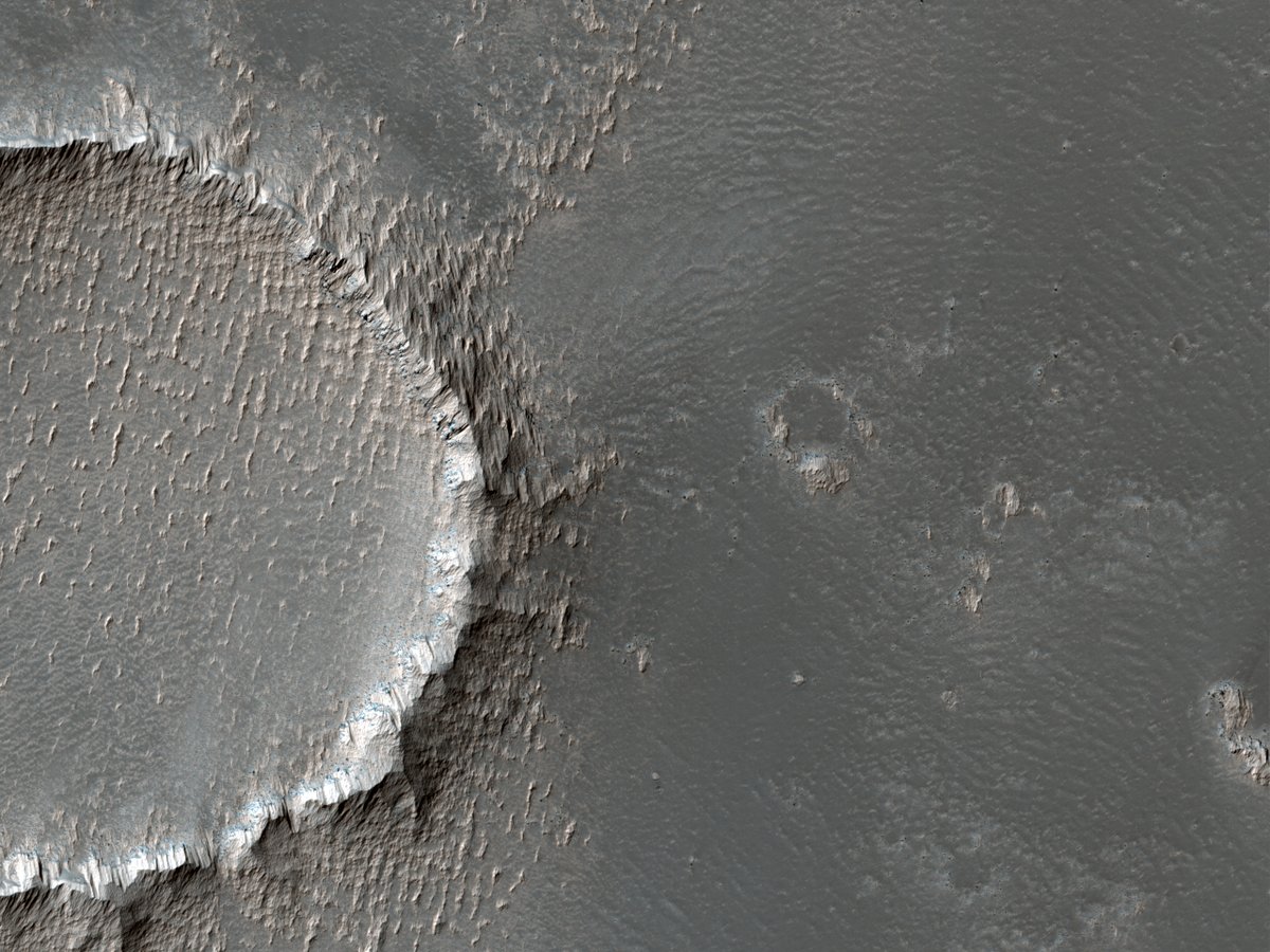 HiRISE's tweet image. HiPOD: Sculpted Surfaces on the Slopes of Arsia Mons

In the cutout, we can see that the bright tones are erosion resistant outcrops, likely from dust that has accumulated and been sculpted by the wind. 

uahirise.org/hipod/ESP_0719…
NASA/JPL-Caltech/University of Arizona
#Mars