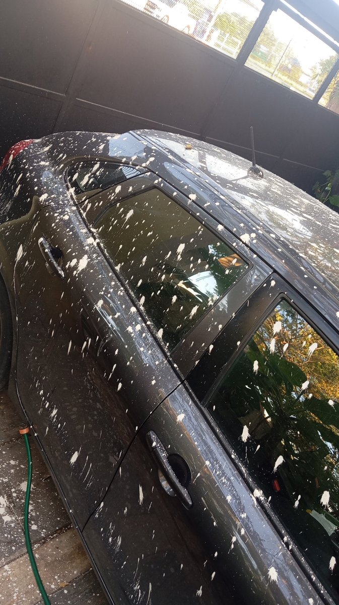 CarmenTorGlez's tweet photo. @CeciliaPatronL @AyuntaMerida Y si mi auto resulta con rayones por el material que sin ningún cuidado regaron por todos lados? Quien responde por este daño? https://t.co/GQrTSHx0pK