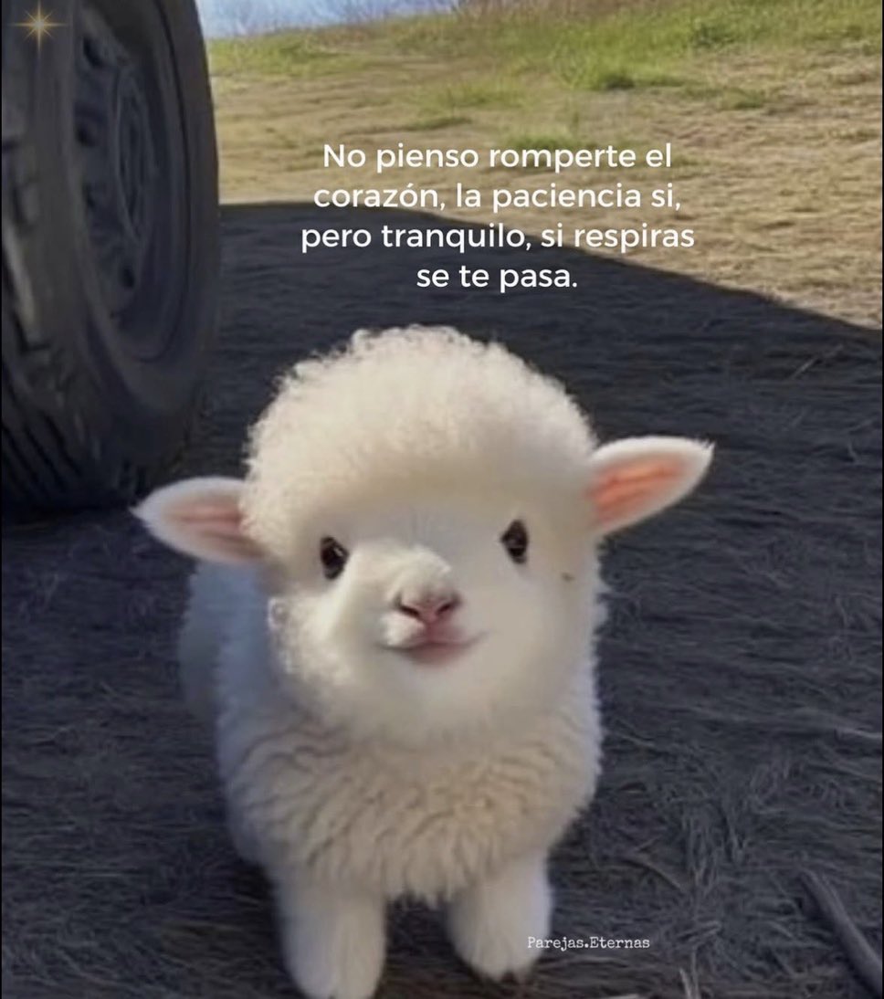 🌙 mini textos (@soyminitextos) on Twitter photo 